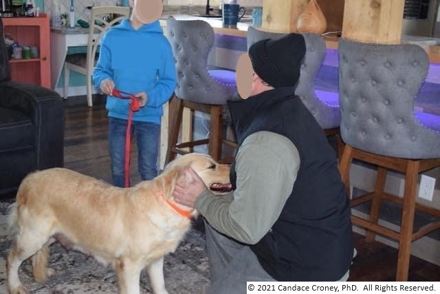 a man and child pet a golden retriever